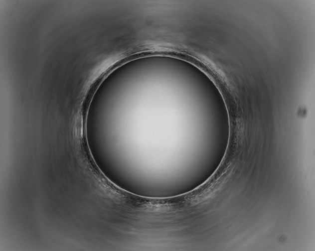 X0000100331269200806051526