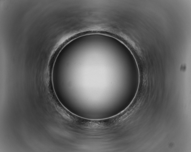 X0000100331270200806051526