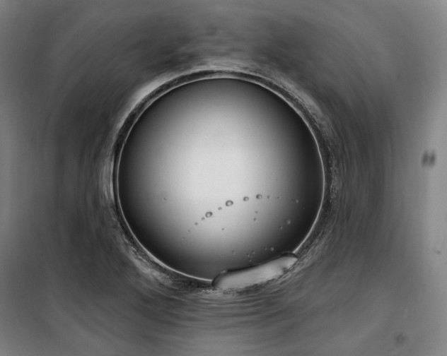 X0000100331272200806051525