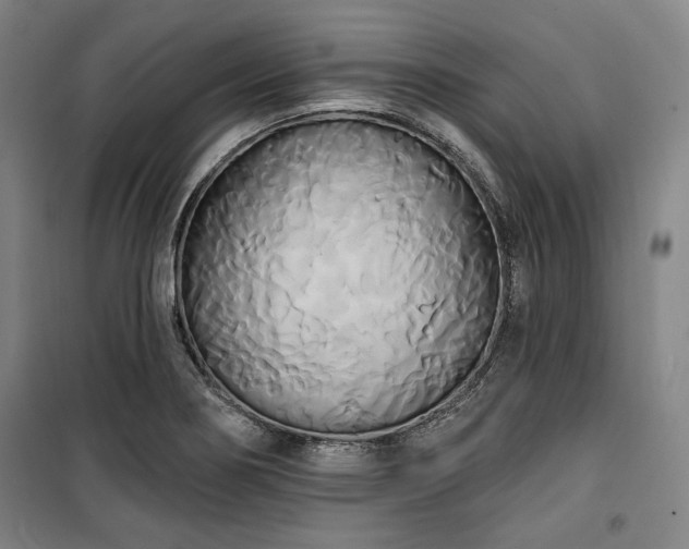 X0000100331274200806051525