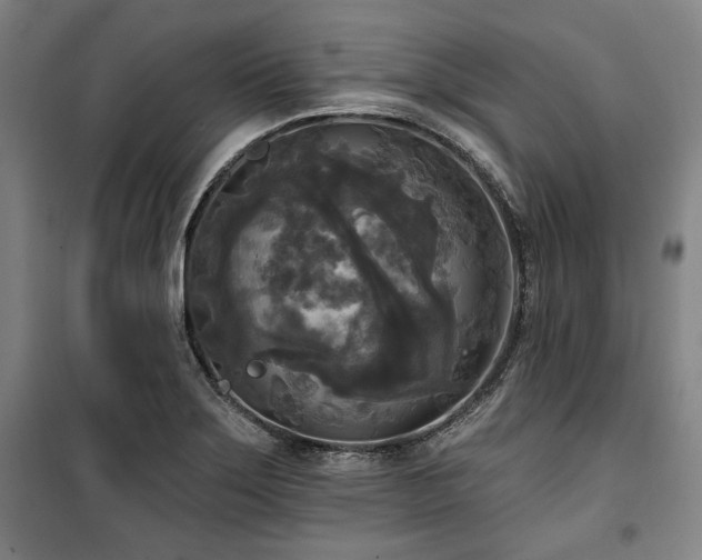 X0000100331275200806051525