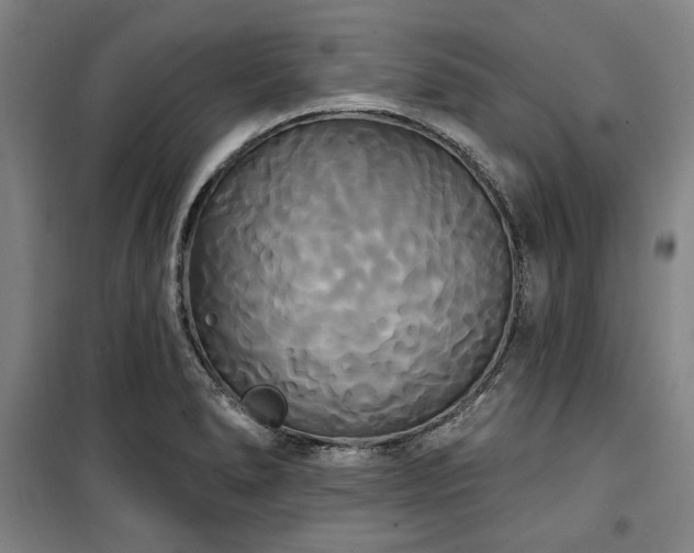 X0000100331278200806051525