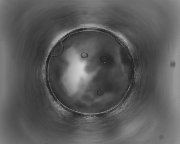 X0000100331279200806051525