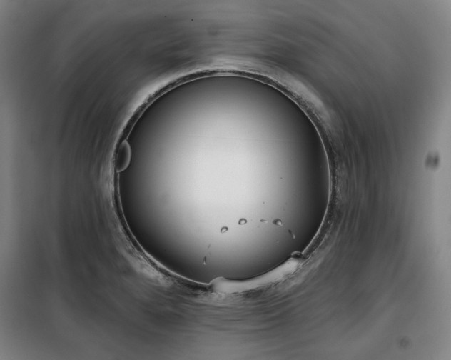 X0000100331280200806051525