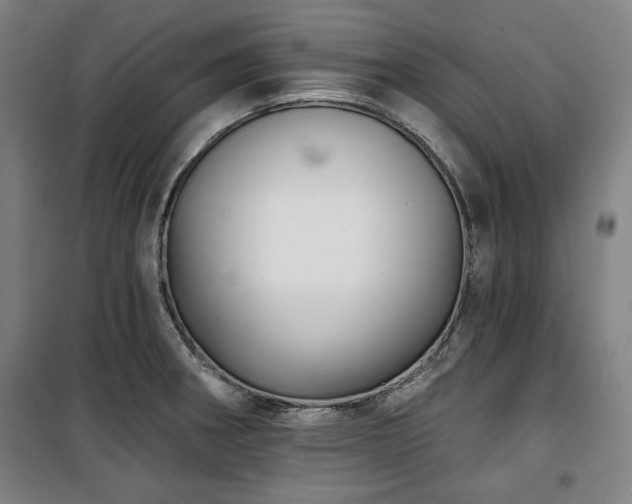 X0000100331282200806051525