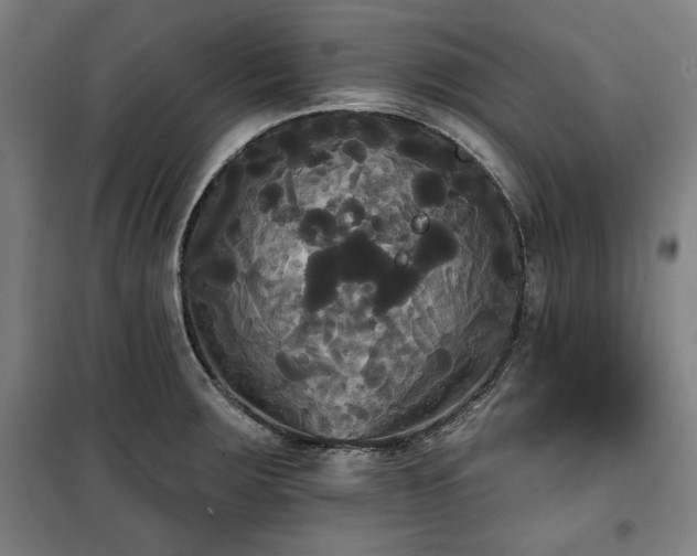 X0000100331283200806051525
