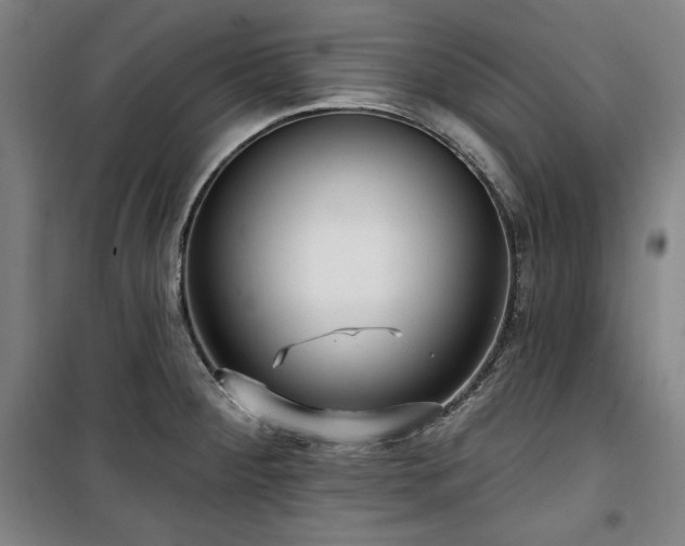 X0000100331284200806051525