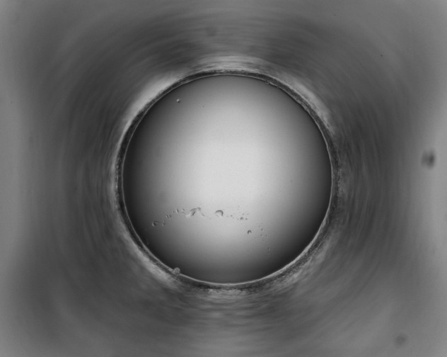 X0000100331285200806051525