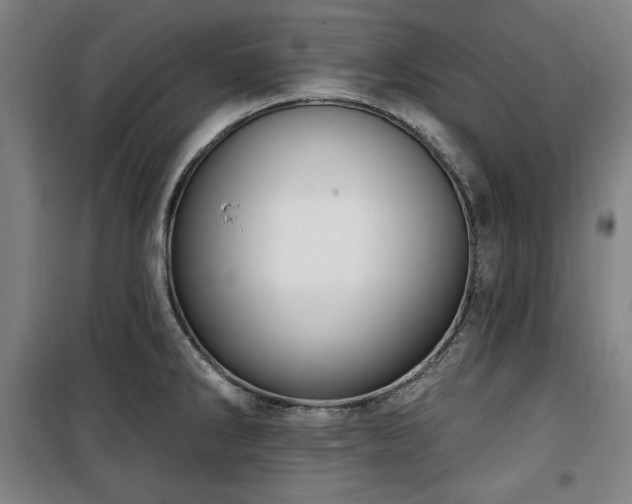 X0000100331286200806051525
