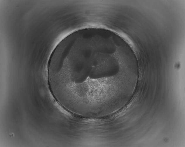 X0000100331287200806051525