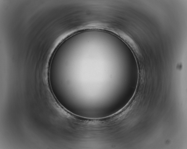 X0000100331288200806051525