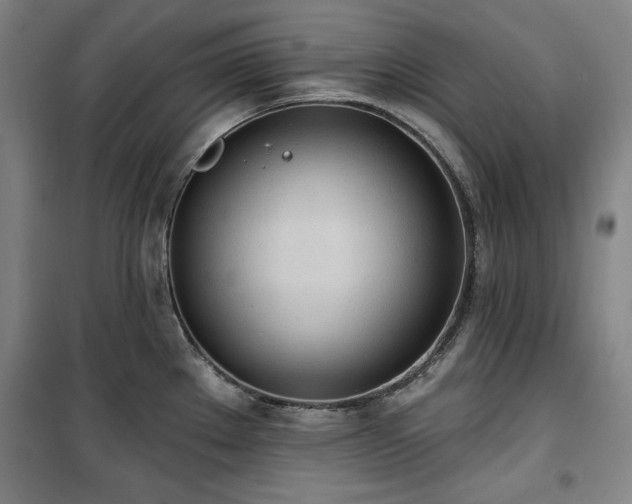 X0000100331289200806051525