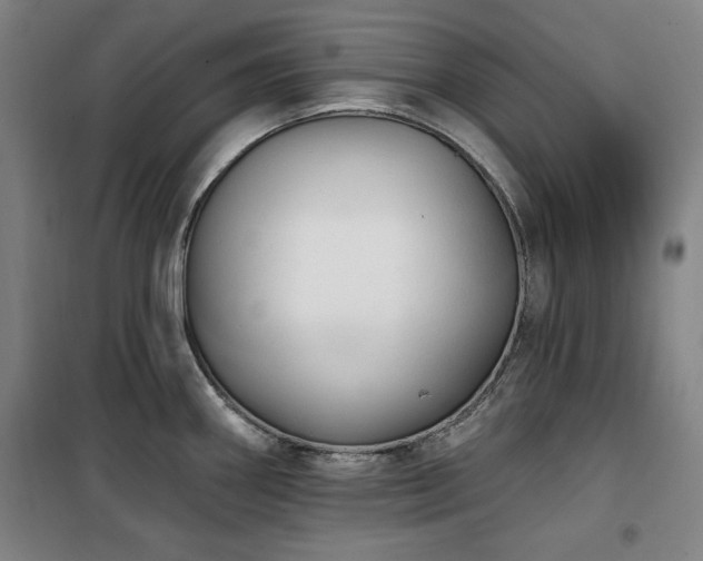 X0000100331290200806051525