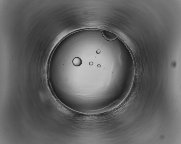 X0000100331291200806051525