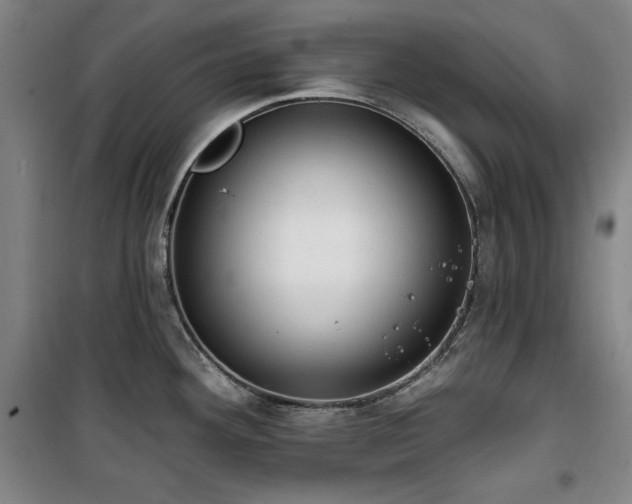 X0000100331292200806051525