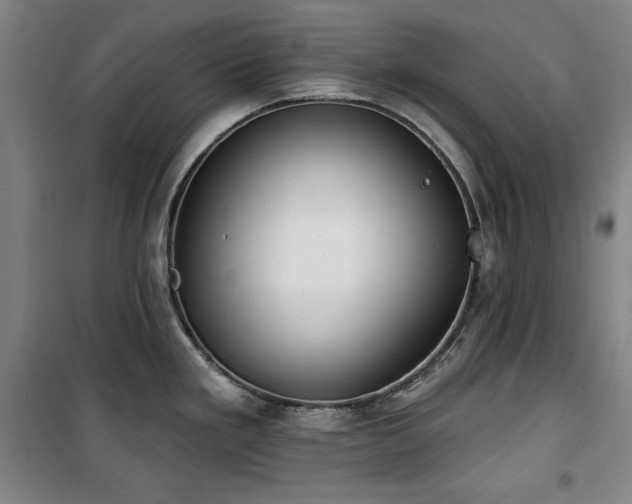 X0000100331293200806051525