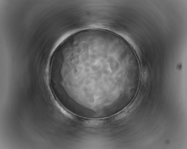 X0000100331294200806051525