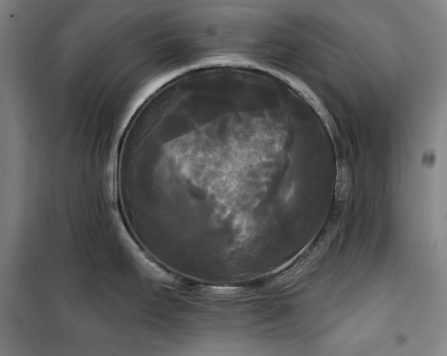 X0000100331295200806051525