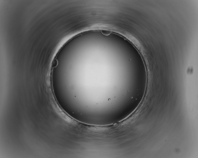 X0000100331296200806051525