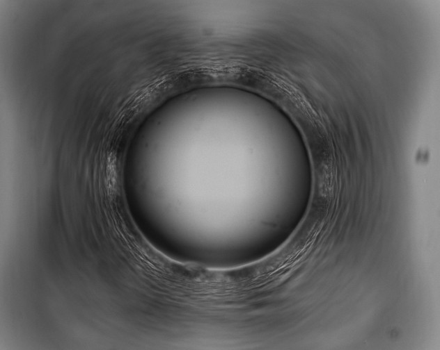 X0000100331298200806051524