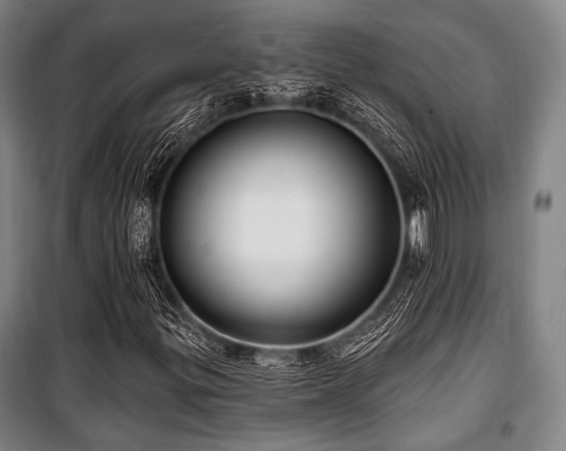 X0000100331299200806051524