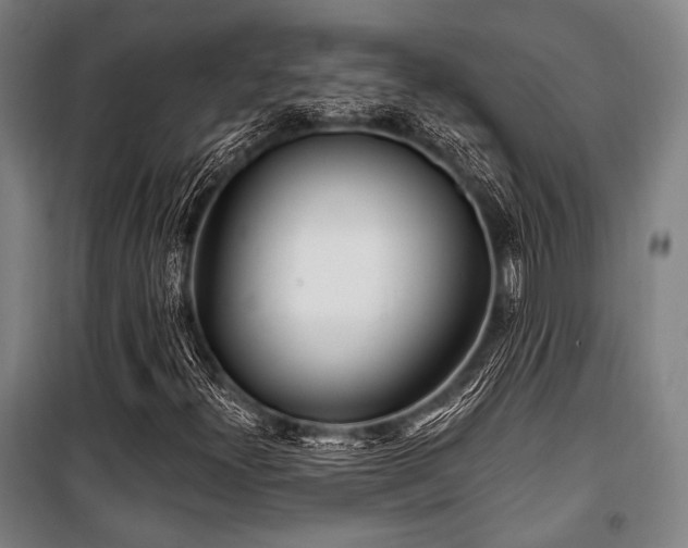 X0000100331300200806051524