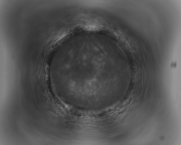 X0000100331301200806051524