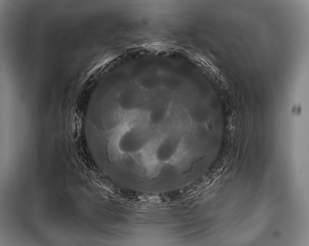 X0000100331302200806051524