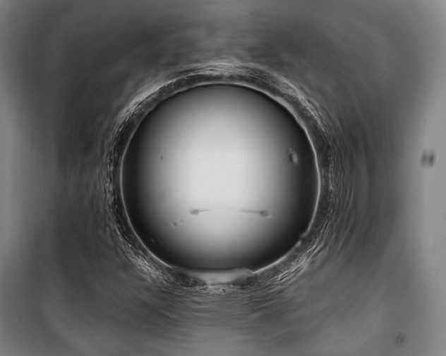 X0000100331304200806051524