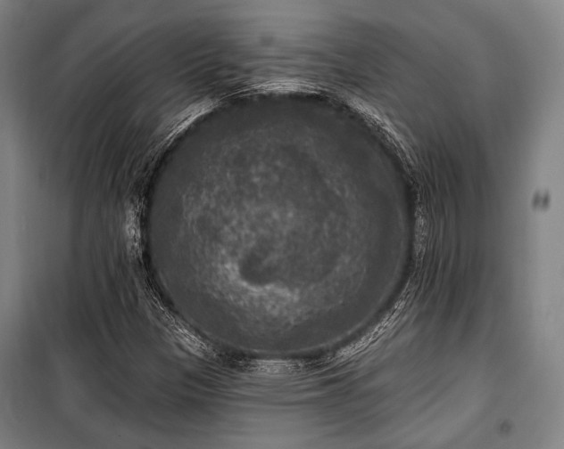 X0000100331305200806051524