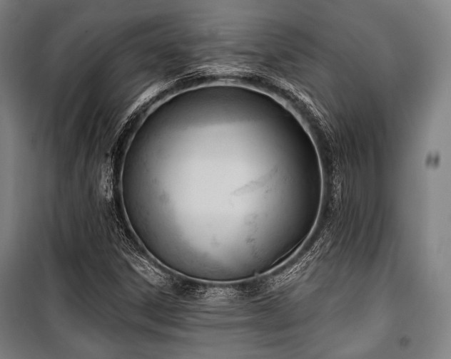 X0000100331306200806051525