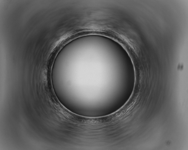 X0000100331307200806051525