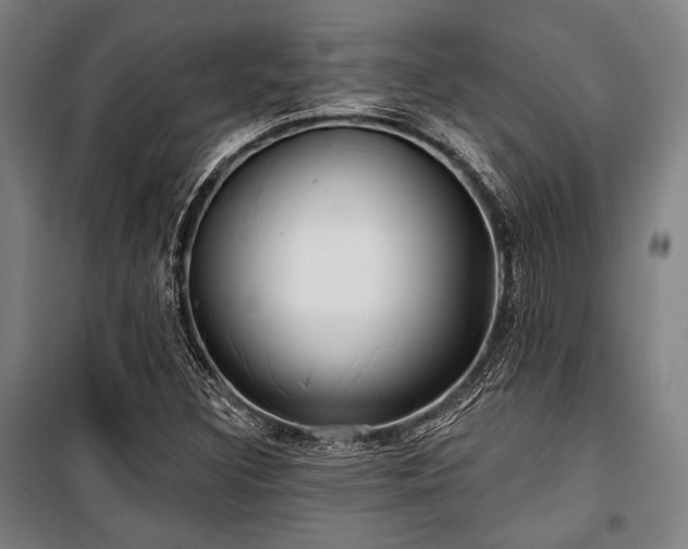 X0000100331308200806051525