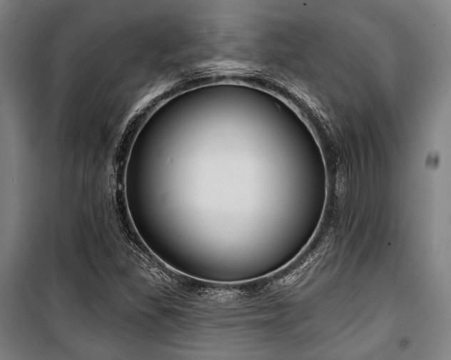 X0000100331309200806051525