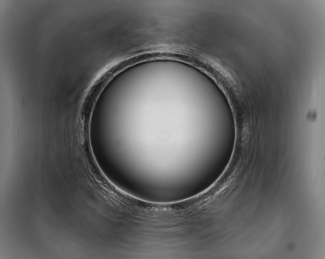 X0000100331310200806051525