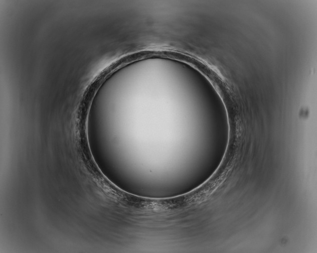X0000100331311200806051525
