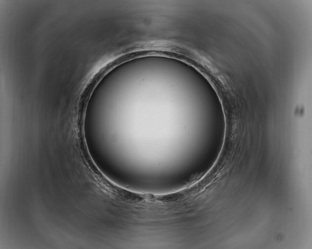 X0000100331312200806051525