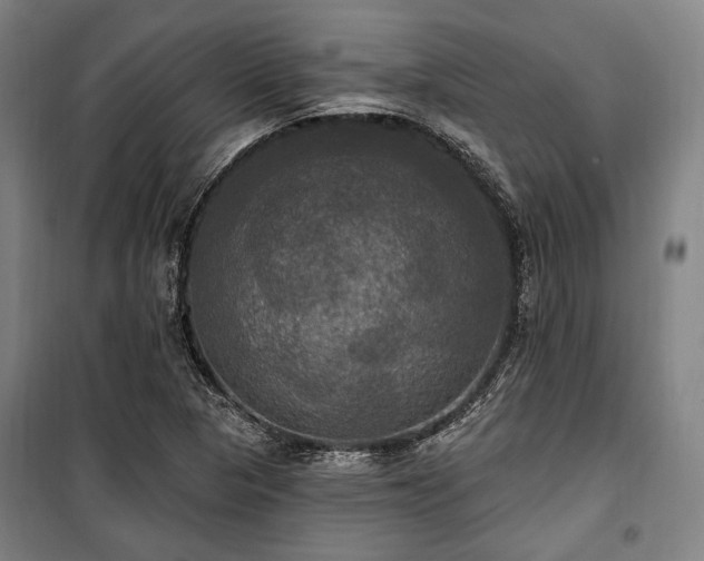 X0000100331313200806051525