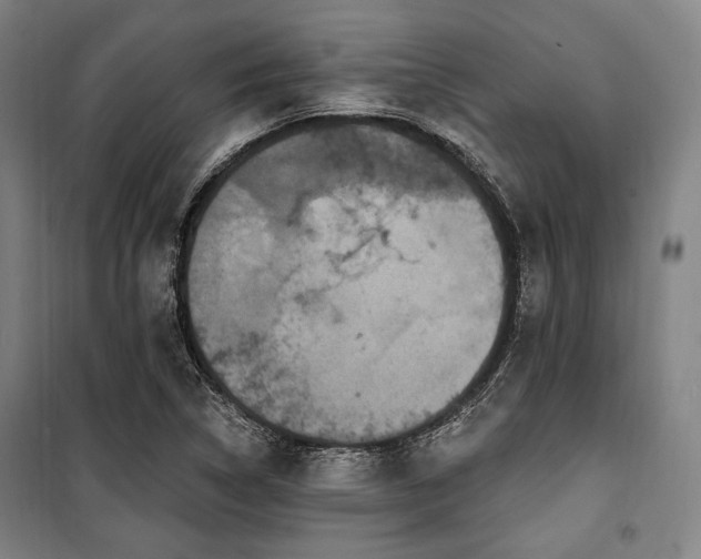 X0000100331314200806051525