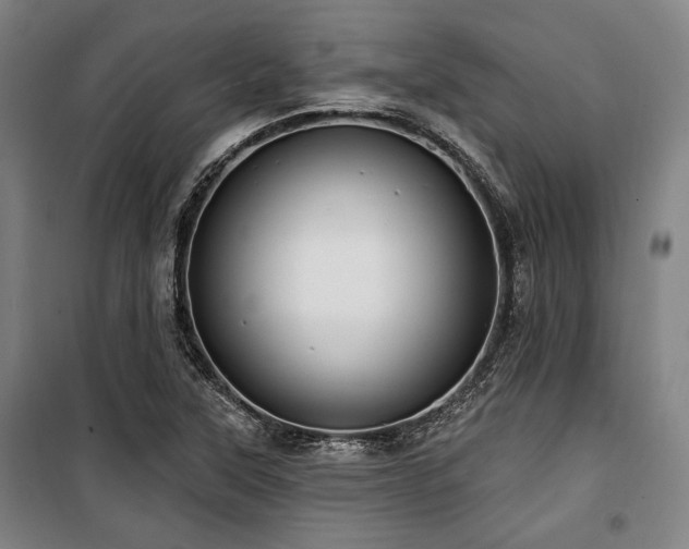 X0000100331315200806051525