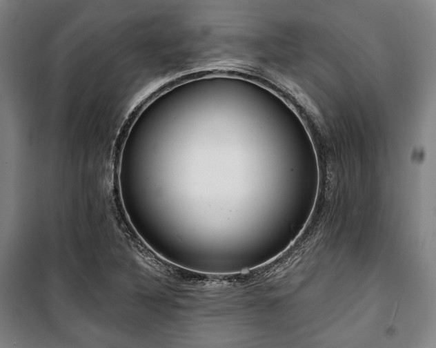 X0000100331316200806051525