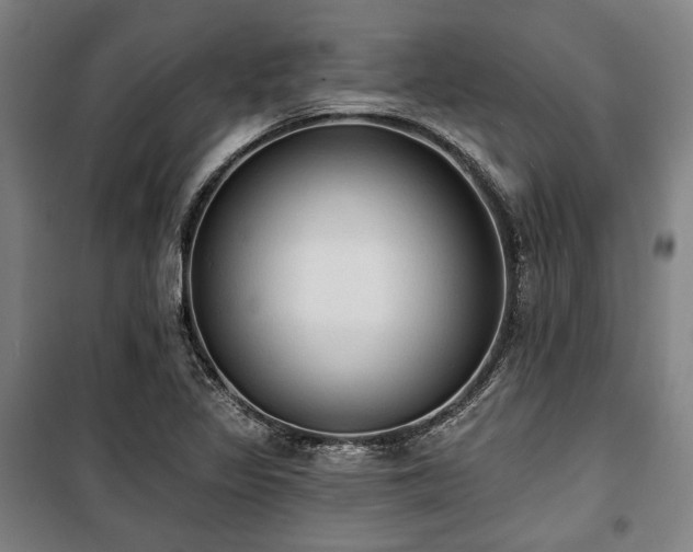 X0000100331317200806051525