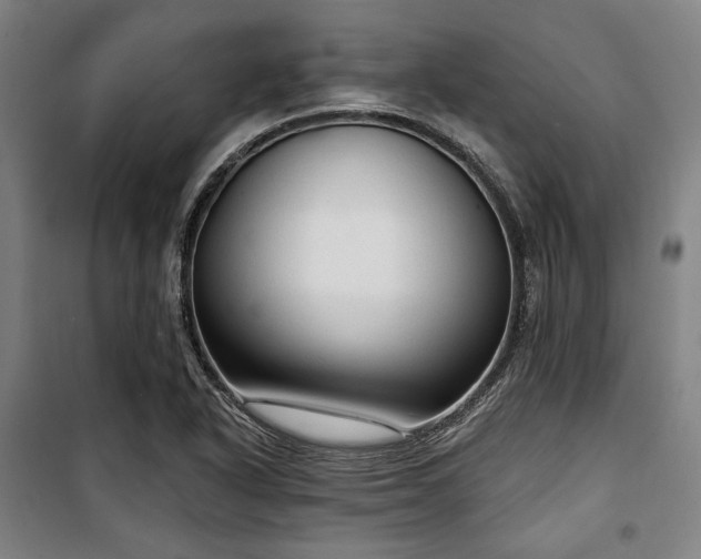X0000100331318200806051525