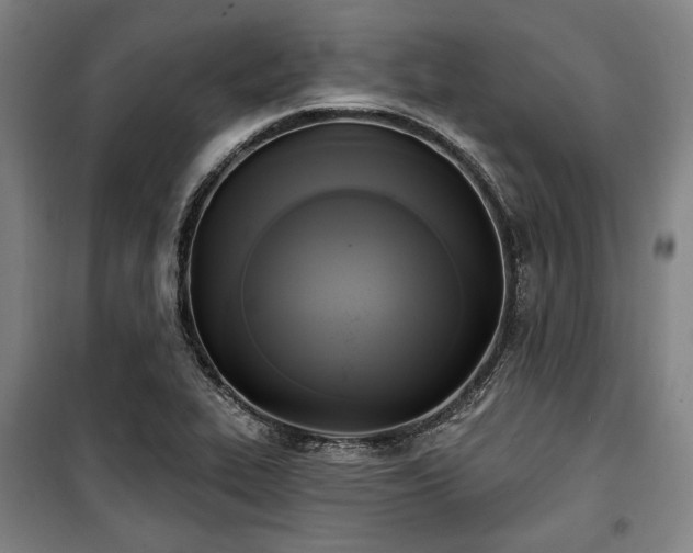X0000100331319200806051525