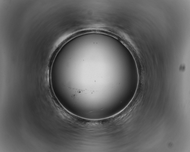 X0000100331320200806051525