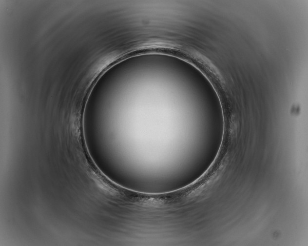 X0000100331321200806051525