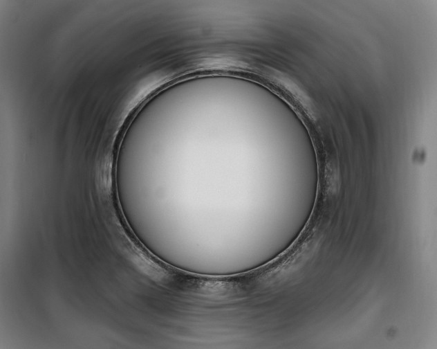 X0000100331322200806051525