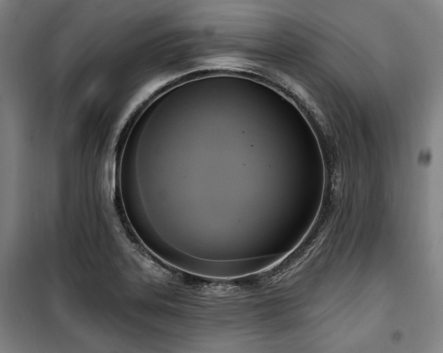 X0000100331323200806051525