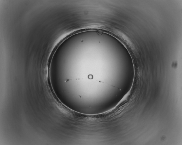 X0000100331324200806051525