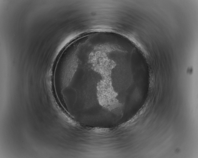 X0000100331325200806051525